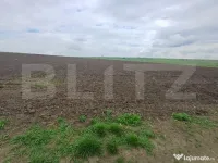 Teren de vanzare intravilan, 33 ari, Cumparatura 