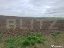 Teren de vanzare intravilan, 33 ari, Cumparatura