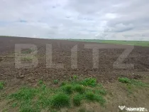 Teren de vanzare intravilan, 33 ari, Cumparatura