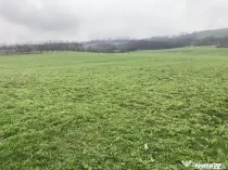 Miroslava! Teren agricol 6435, la 2 min de Primarie!