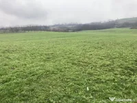 Miroslava! Teren agricol 6435, la 2 min de Primarie! 