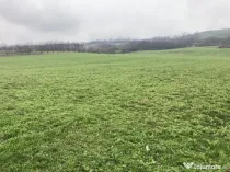 Miroslava! Teren agricol 6435, la 2 min de Primarie!