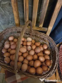 Oua de casa
