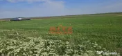 TEREN INTRAVILAN 15.000 mp 
