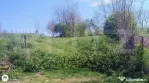 ????️ Teren intravilan 1613 mp în comuna Geaca | Ideal pe