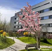 Apartament NOU 2 camere, Decomandat, Dormitor foarte spatios - Sector1 