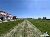 Vile Premium Snagov /The Four Residences