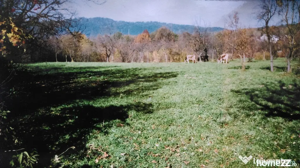 Vânzare teren intravilan 5867 mp – Valea Mare-Pravăț, județul Argeș