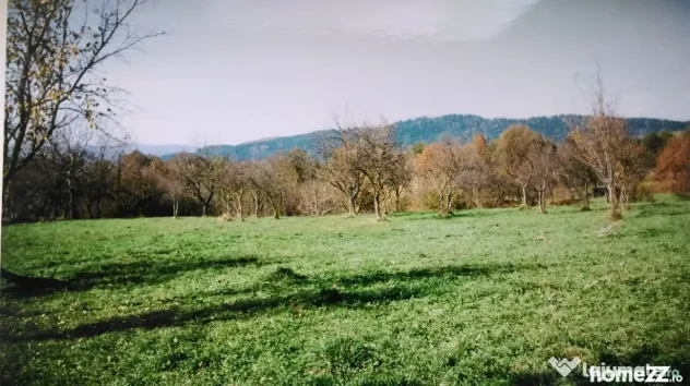 Vânzare teren intravilan 5867 mp – Valea Mare-Pravăț, județul Argeș