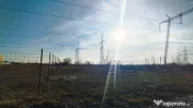 TEREN INTRAVILAN 5000 MP SECTOR 3 ZONA NICOLAE TECLU CEL MAI 
