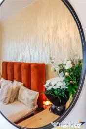 Casa Premium, A, smart Home, design spectaculos, gata de mut 