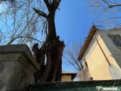 Oportunitate Investitie l Proprietate ideala pentru Dezvo... 
