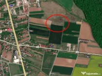 Teren Ciolpani langa padure si DN1