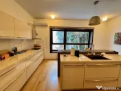 Vila superba 6 camere adiacent Calea Calarasilor 