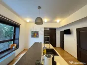 Vila superba 6 camere adiacent Calea Calarasilor 