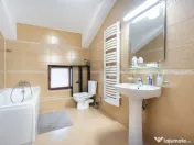 Vila cu arhitectura spectaculoasa Bucurestii Noi 