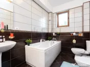 Vila cu arhitectura spectaculoasa Bucurestii Noi 