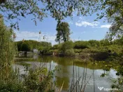 Teren Intravilan 10.000 mp Silistea Snagovului de Vanzare