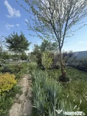 Casă superbă în Mărginenii de Sus – 