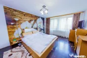 Casa De Vanzare-CEA MAI FRUMOASA PRIVELISTE SPRE BAIA MARE 