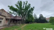 Conac cu pomi maturi și teren pentru dezvoltare, 750 mp, zo 