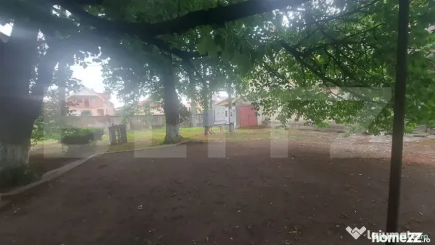 Conac cu pomi maturi și teren pentru dezvoltare, 750 mp, zo - Odoreu (Satu-Mare)