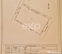 ALBOTA | Teren intravilan 21.494 mp | Deschidere DN5 – 107
