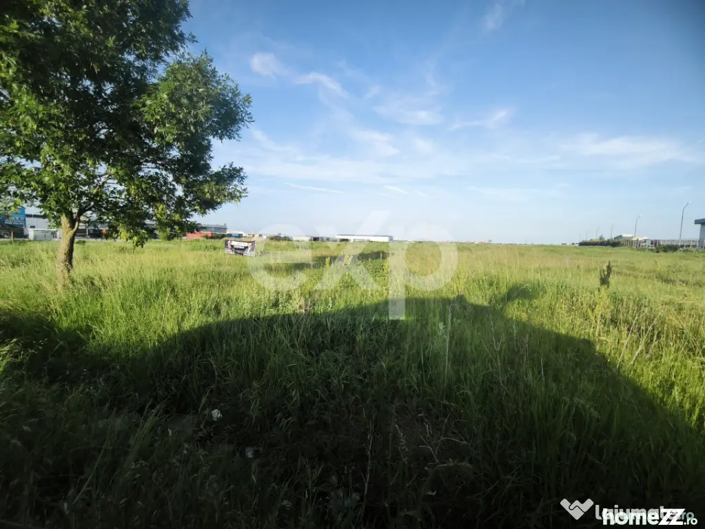 ALBOTA | Teren intravilan 21.494 mp | Deschidere DN5 – 107