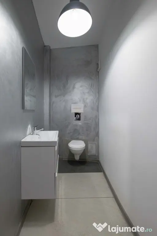Spatiu comercial - zona Brotacei