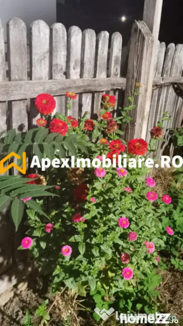 Cotroceni | Casa 3 Camere | Curte | Renovata | Pod Mansardab - Bucuresti (Bucuresti-Ilfov)