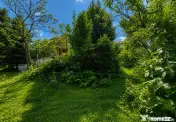 Proprietate, 75 mp, piscină, beci și 2 garaje, zona Centra