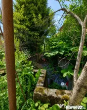 Proprietate, 75 mp, piscină, beci și 2 garaje, zona Centra