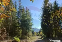 Vânzare teren extravilan, 4 ha pădure, zona turistică ... 