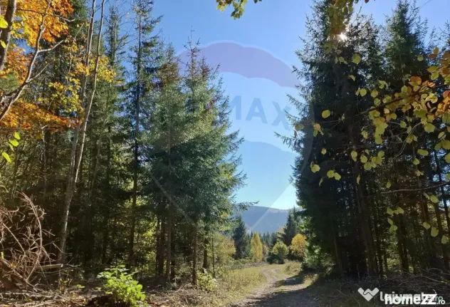 Vânzare teren extravilan, 4 ha pădure, zona turistică ...