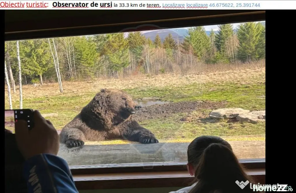 Vânzare teren extravilan, 4 ha pădure, zona turistică ...