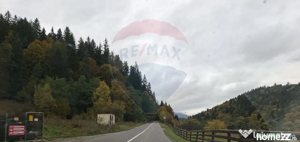 Vânzare teren extravilan, 4 ha pădure, zona turistică ...