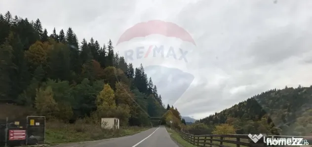 Vânzare teren extravilan, 4 ha pădure, zona turistică ...