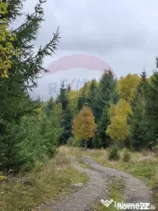 Vânzare teren extravilan, 4 ha pădure, zona turistică ...