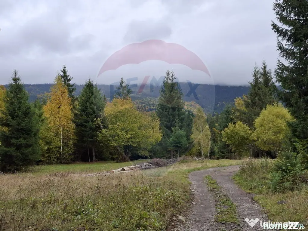 Vânzare teren extravilan, 4 ha pădure, zona turistică ...