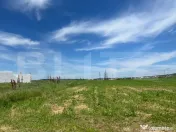 Teren intravilan, 3500 mp, front 12 ml, Dudovicesti, Simnicu 