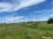 Teren intravilan, 3500 mp, front 12 ml, Dudovicesti, Simnicu 