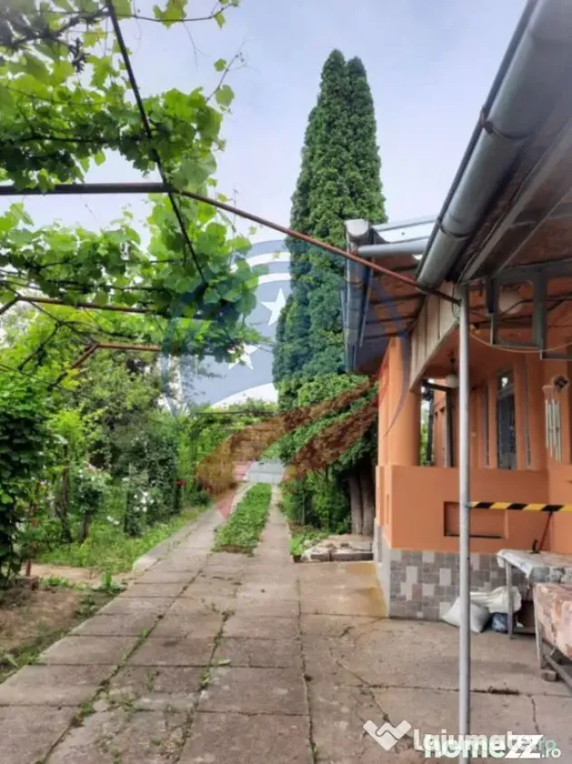 Casa de vanzare/Balcesti/Valcea/Str Pietii