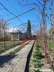 Casa de vanzare/Balcesti/Valcea/Str Pietii 