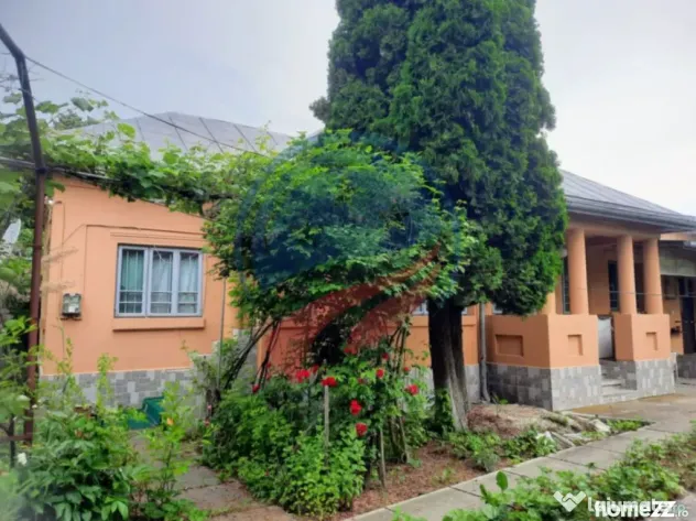 Casa de vanzare/Balcesti/Valcea/Str Pietii