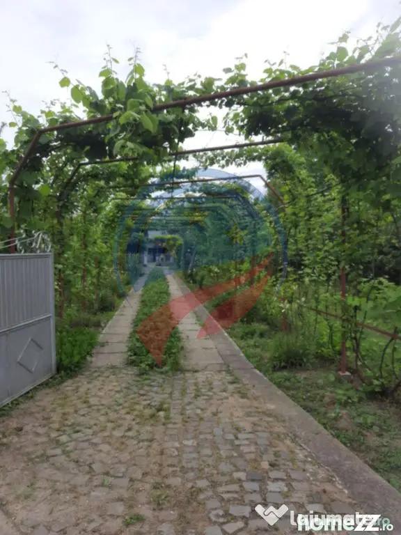 Casa de vanzare/Balcesti/Valcea/Str Pietii