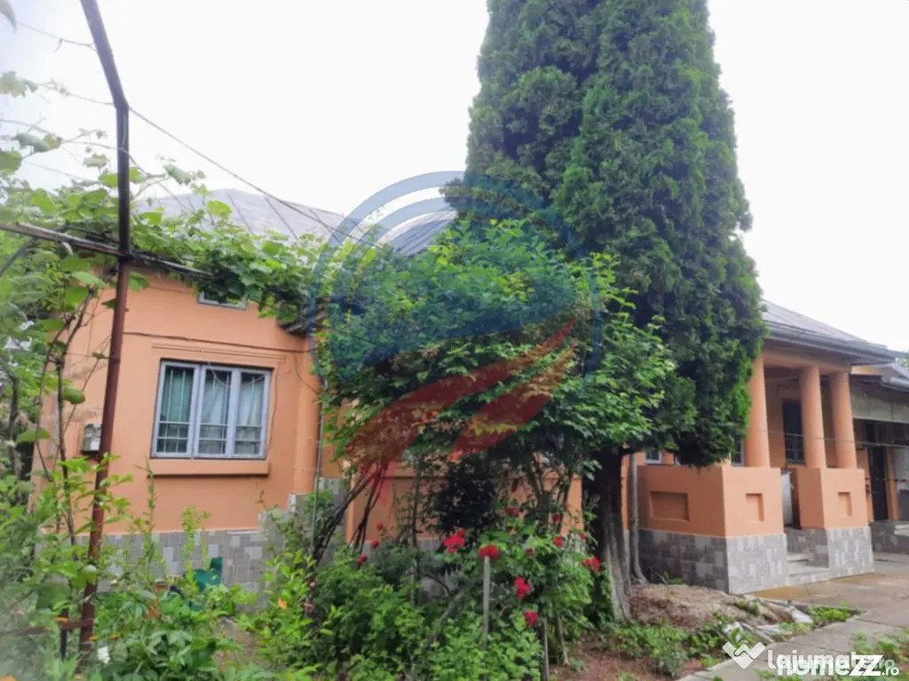 Casa de vanzare/Balcesti/Valcea/Str Pietii