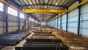 Complex industrial de vanzare – Aricestii Rahtivani, Pr...