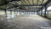 Complex industrial de vanzare – Aricestii Rahtivani, Pr...
