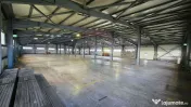 Complex industrial de vanzare – Aricestii Rahtivani, Pr...