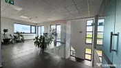 Complex industrial de vanzare – Aricestii Rahtivani, Pr...